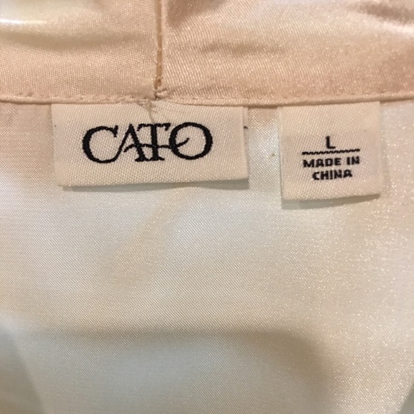 Cato dressy top - Picture 2 of 5